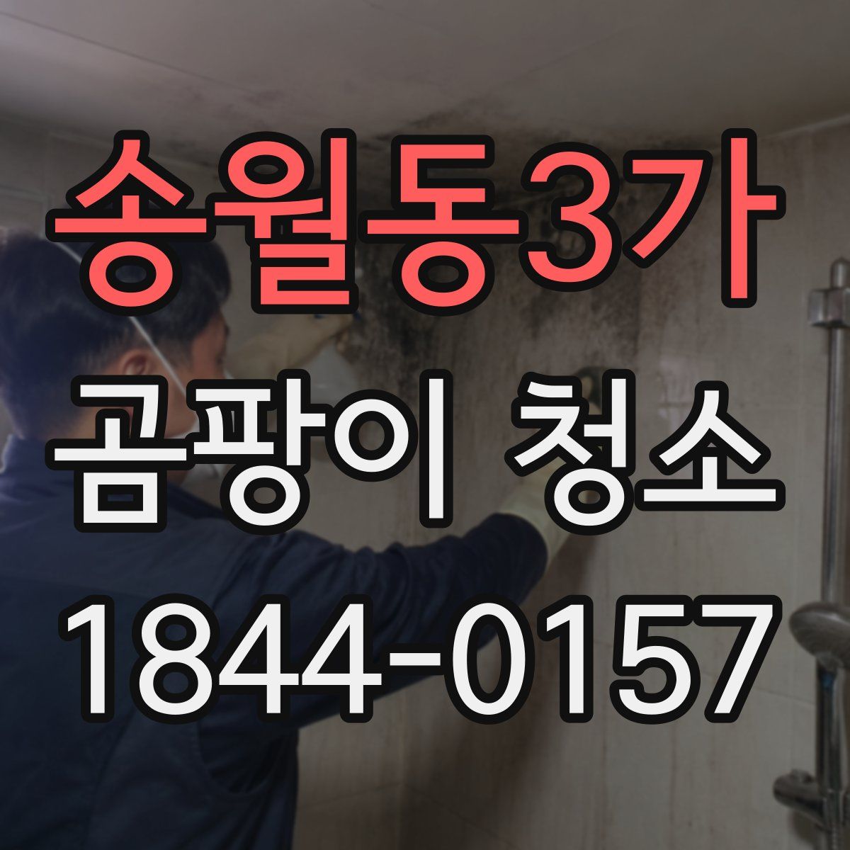 송월동3가 곰팡이 청소