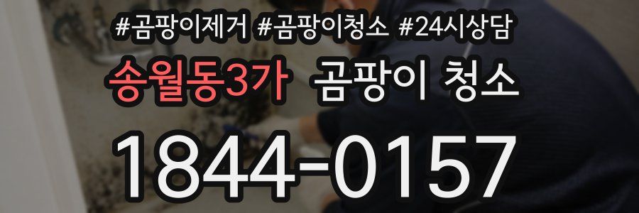 송월동3가 곰팡이 청소