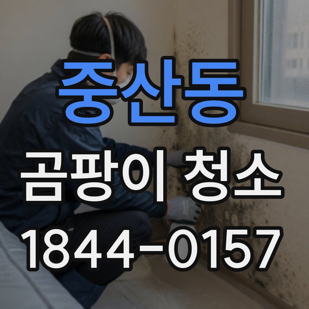 중산동 곰팡이 청소
