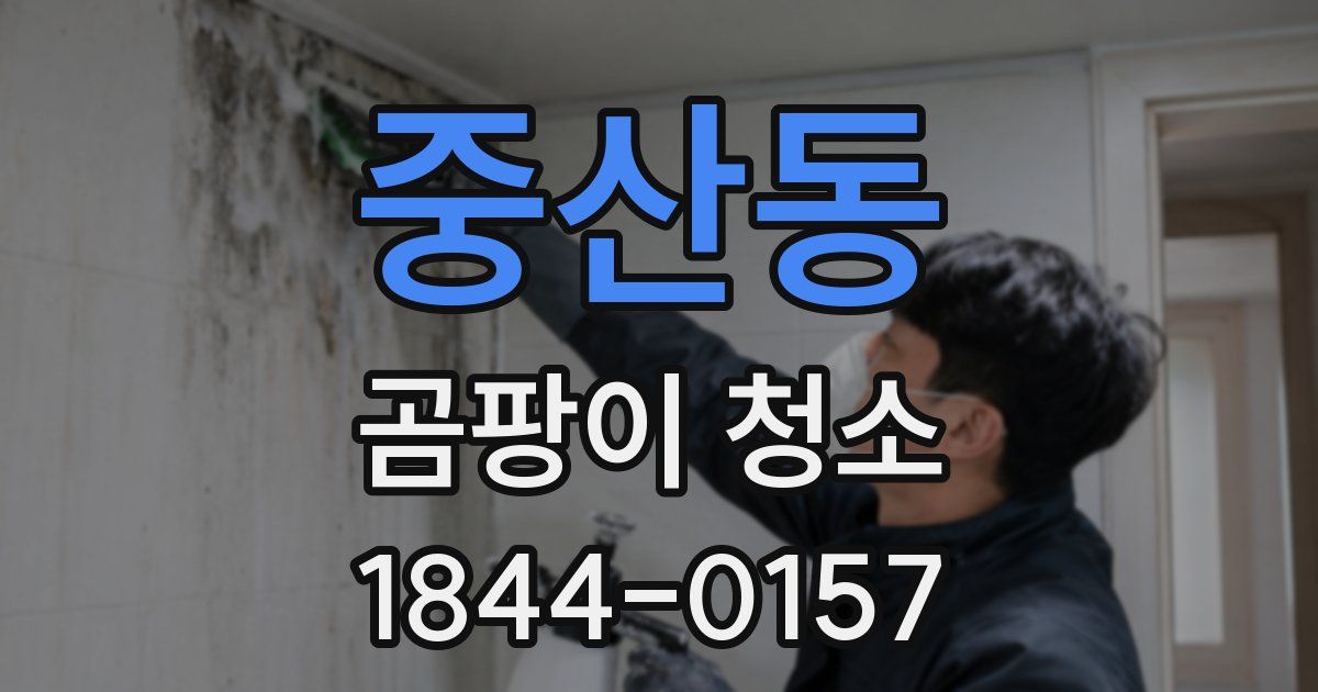 중산동 곰팡이 청소