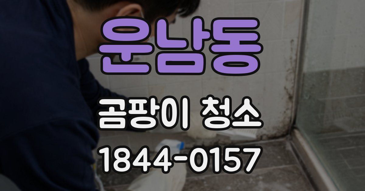 운남동 곰팡이 청소