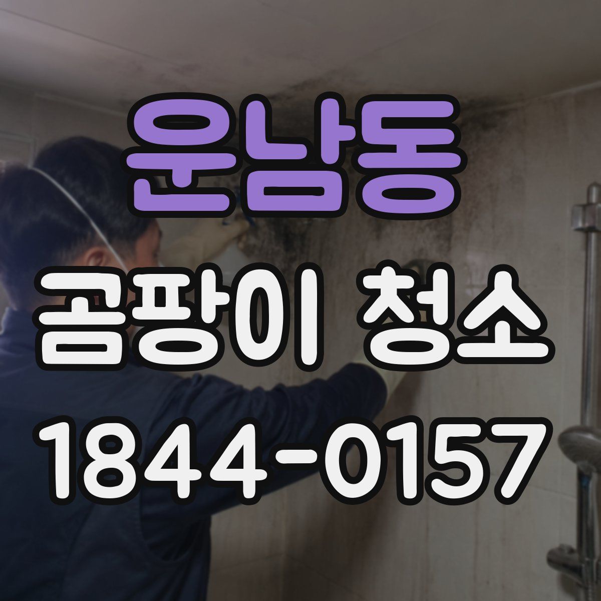 운남동 곰팡이 청소