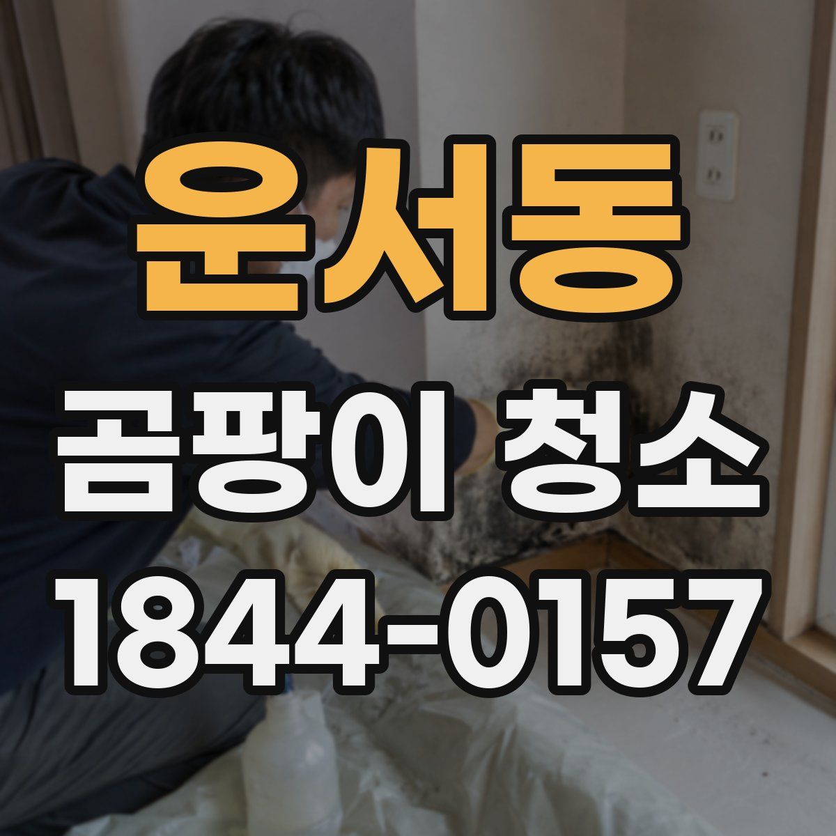 운서동 곰팡이 청소