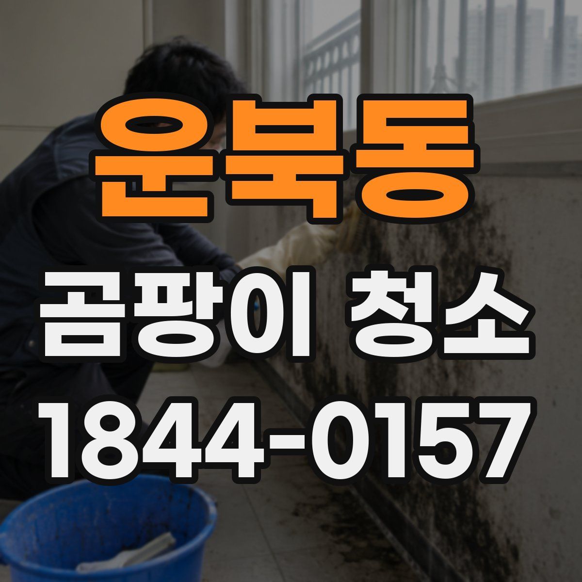 운북동 곰팡이 청소