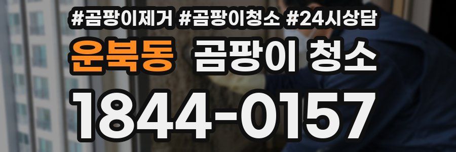 운북동 곰팡이 청소