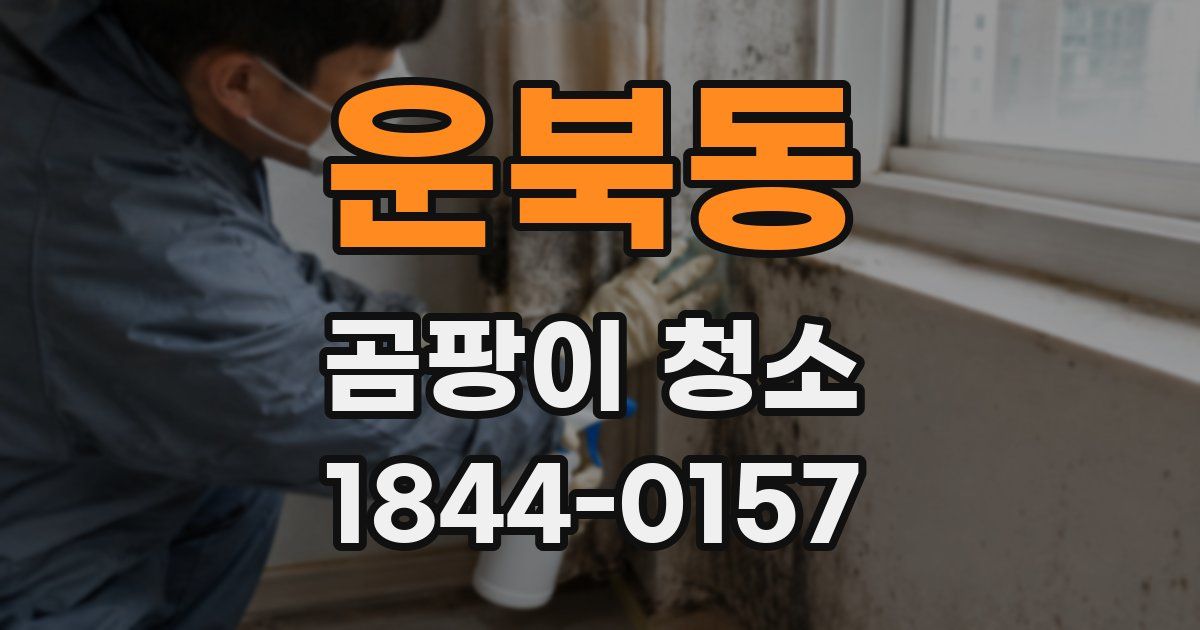 운북동 곰팡이 청소