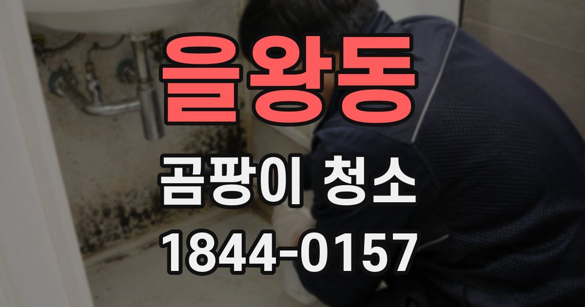 을왕동 곰팡이 청소