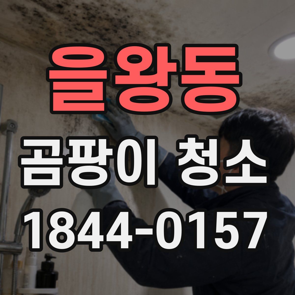 을왕동 곰팡이 청소