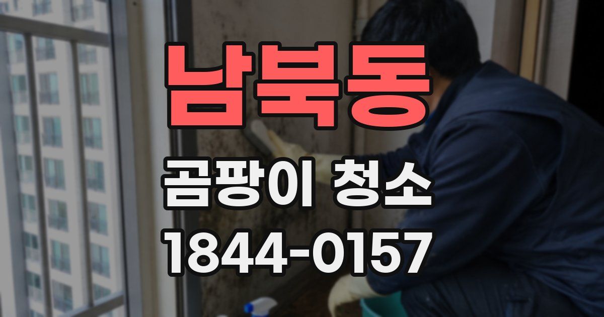 남북동 곰팡이 청소