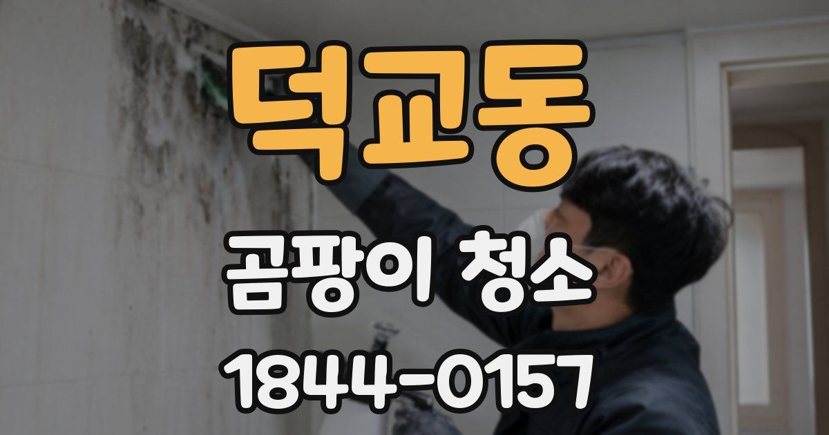 덕교동 곰팡이 청소
