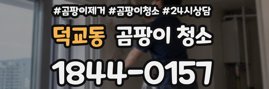덕교동 곰팡이 청소