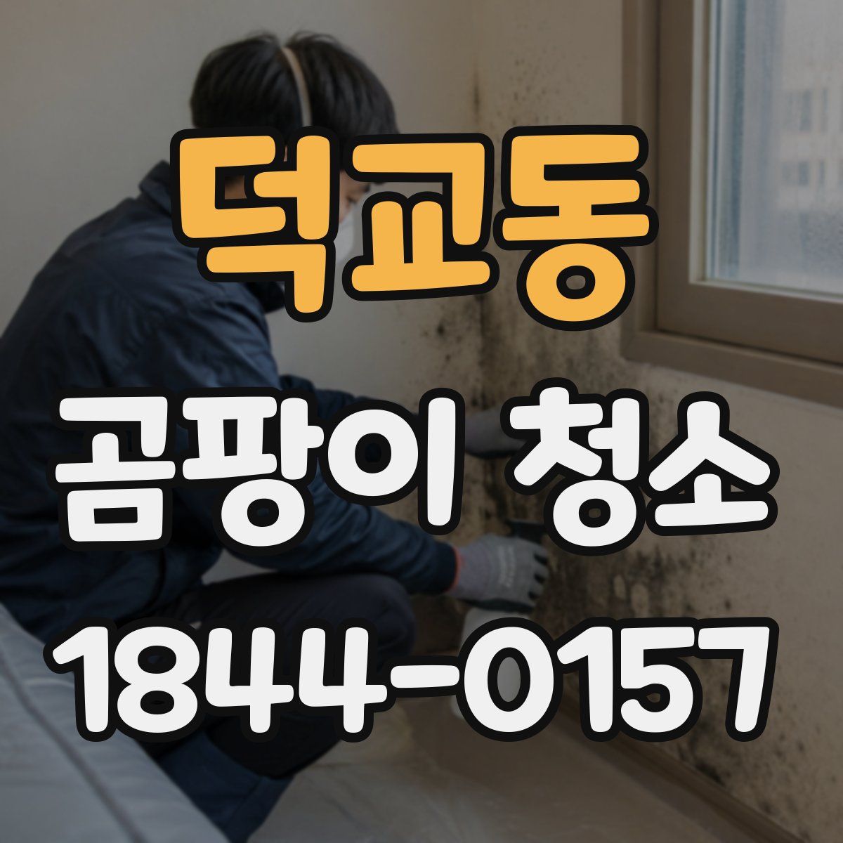 덕교동 곰팡이 청소