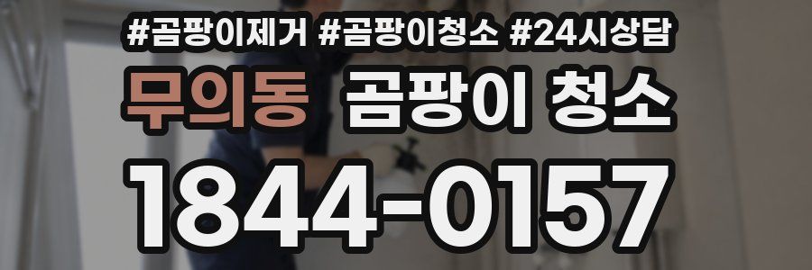 무의동 곰팡이 청소