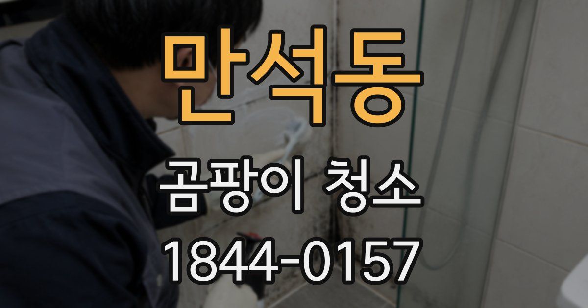만석동 곰팡이 청소