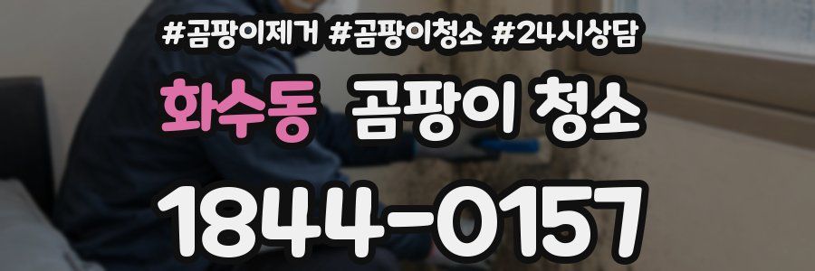 화수동 곰팡이 청소