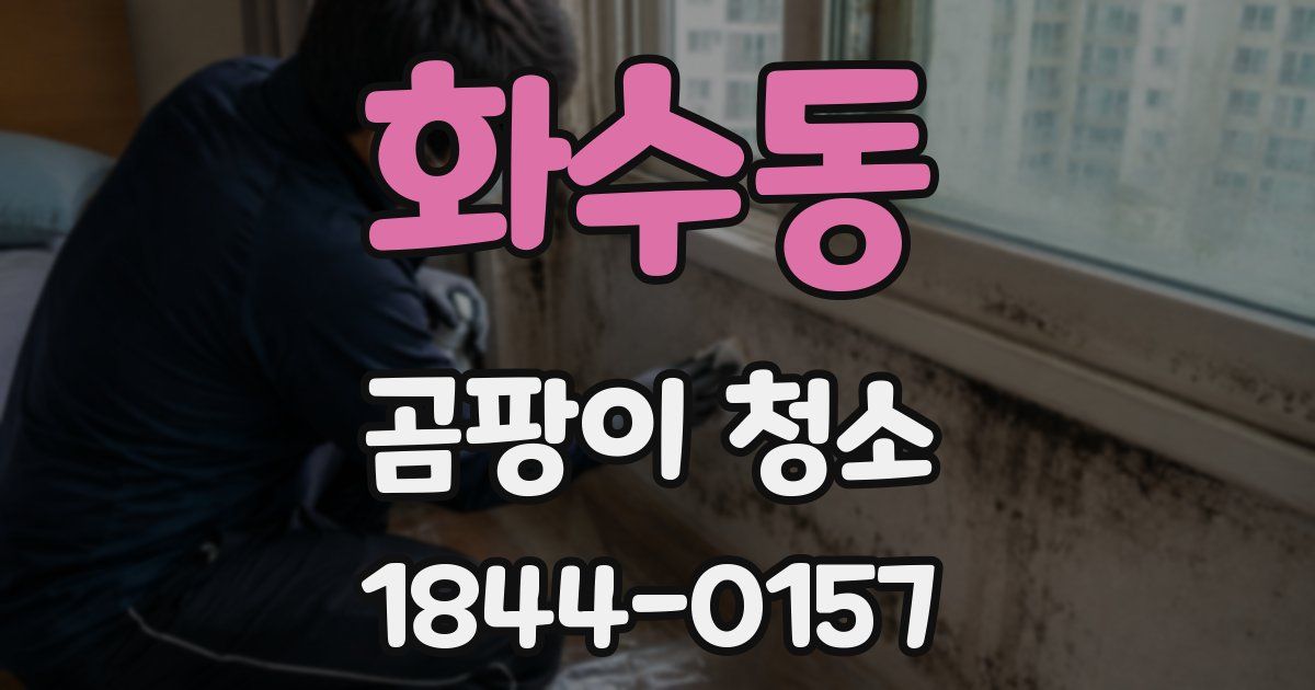 화수동 곰팡이 청소