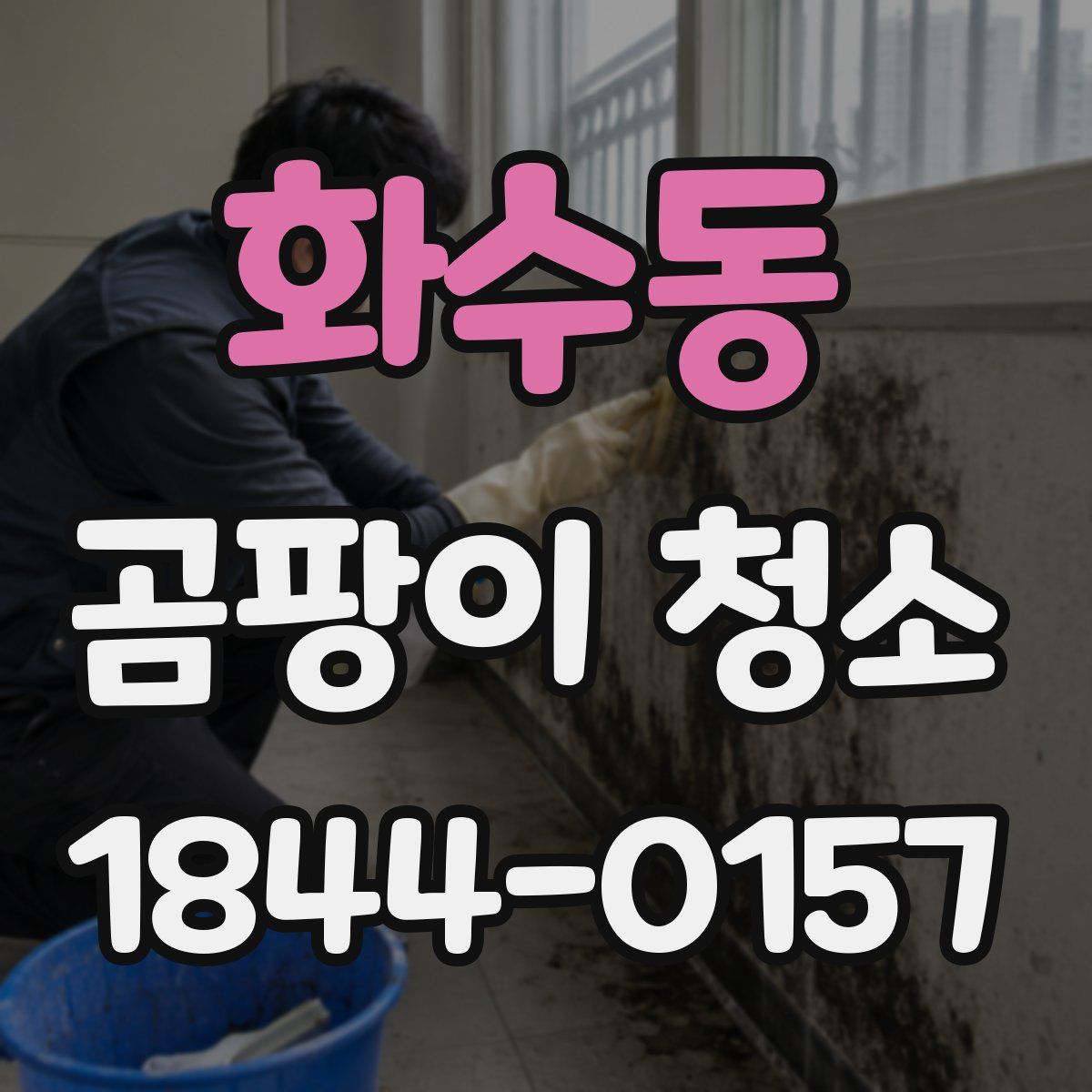 화수동 곰팡이 청소