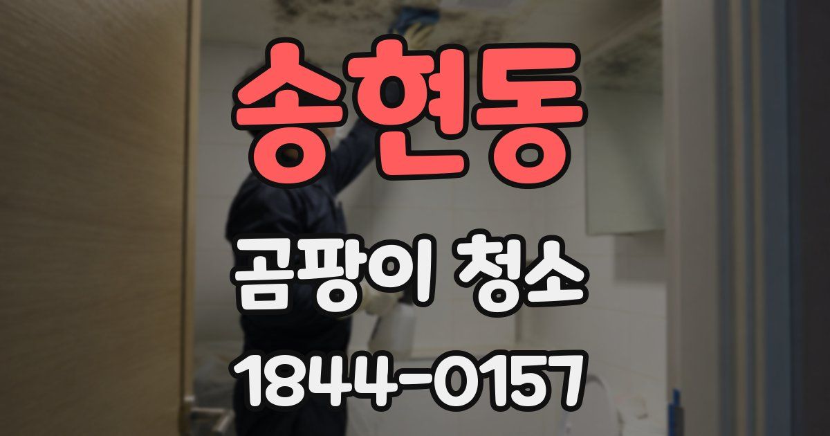 송현동 곰팡이 청소