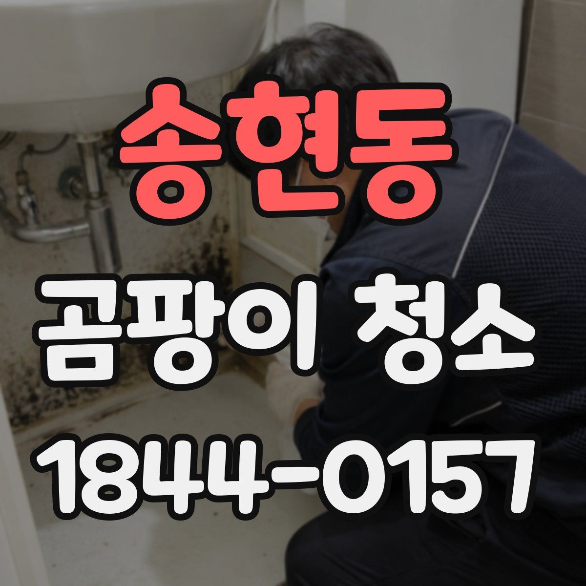 송현동 곰팡이 청소