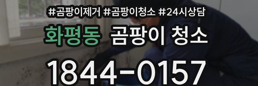 화평동 곰팡이 청소