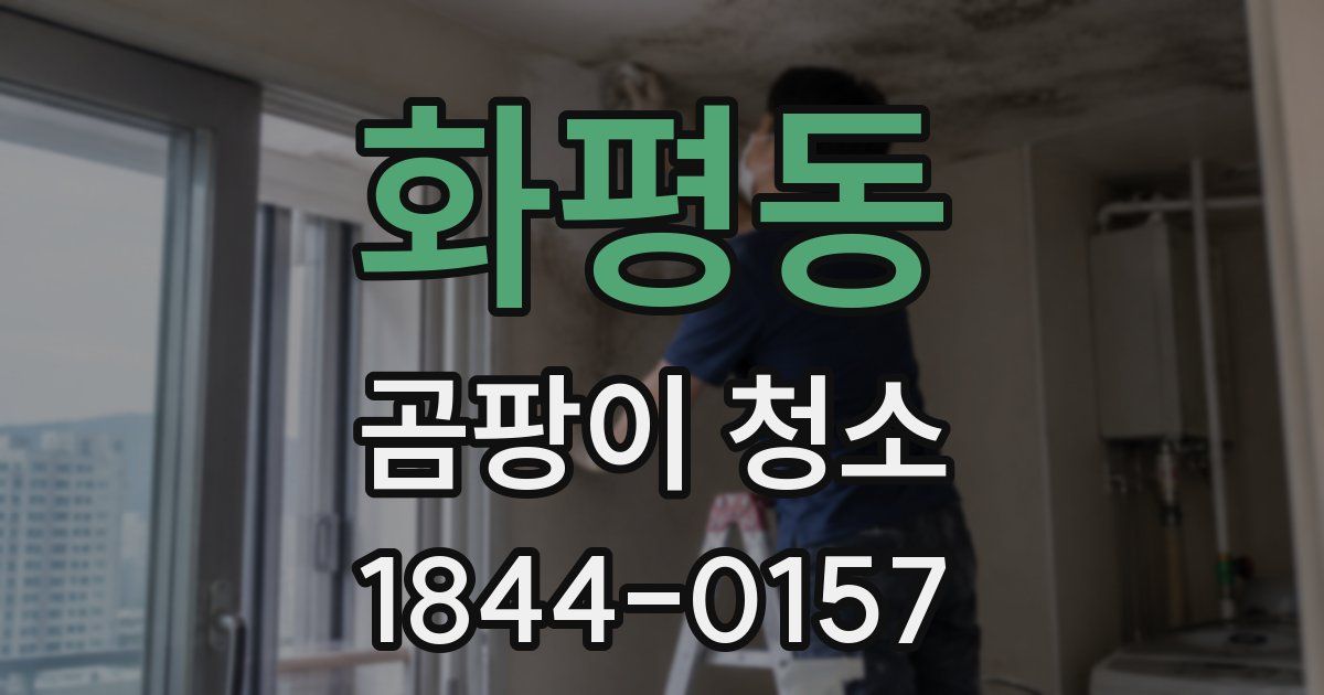 화평동 곰팡이 청소