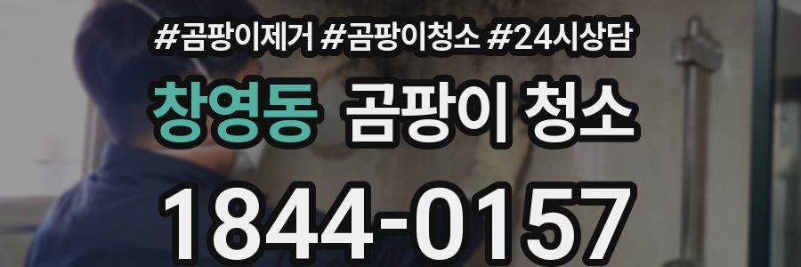창영동 곰팡이 청소