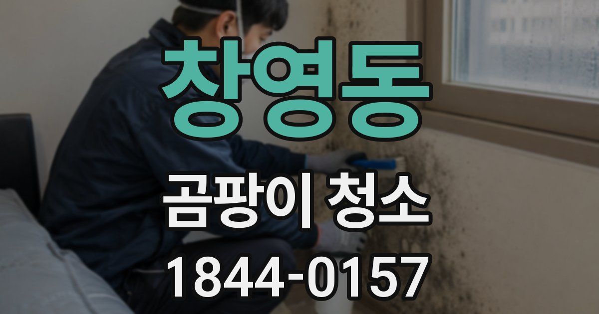창영동 곰팡이 청소