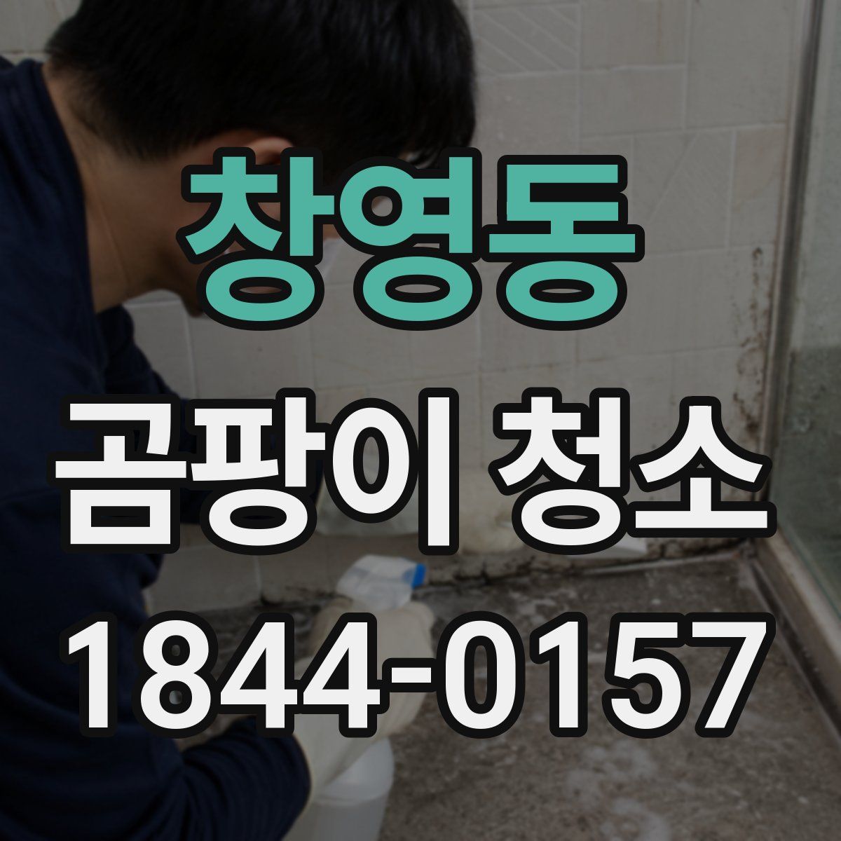 창영동 곰팡이 청소