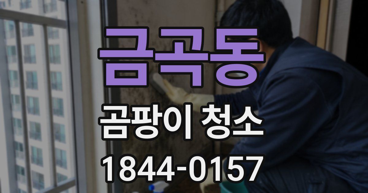 금곡동 곰팡이 청소