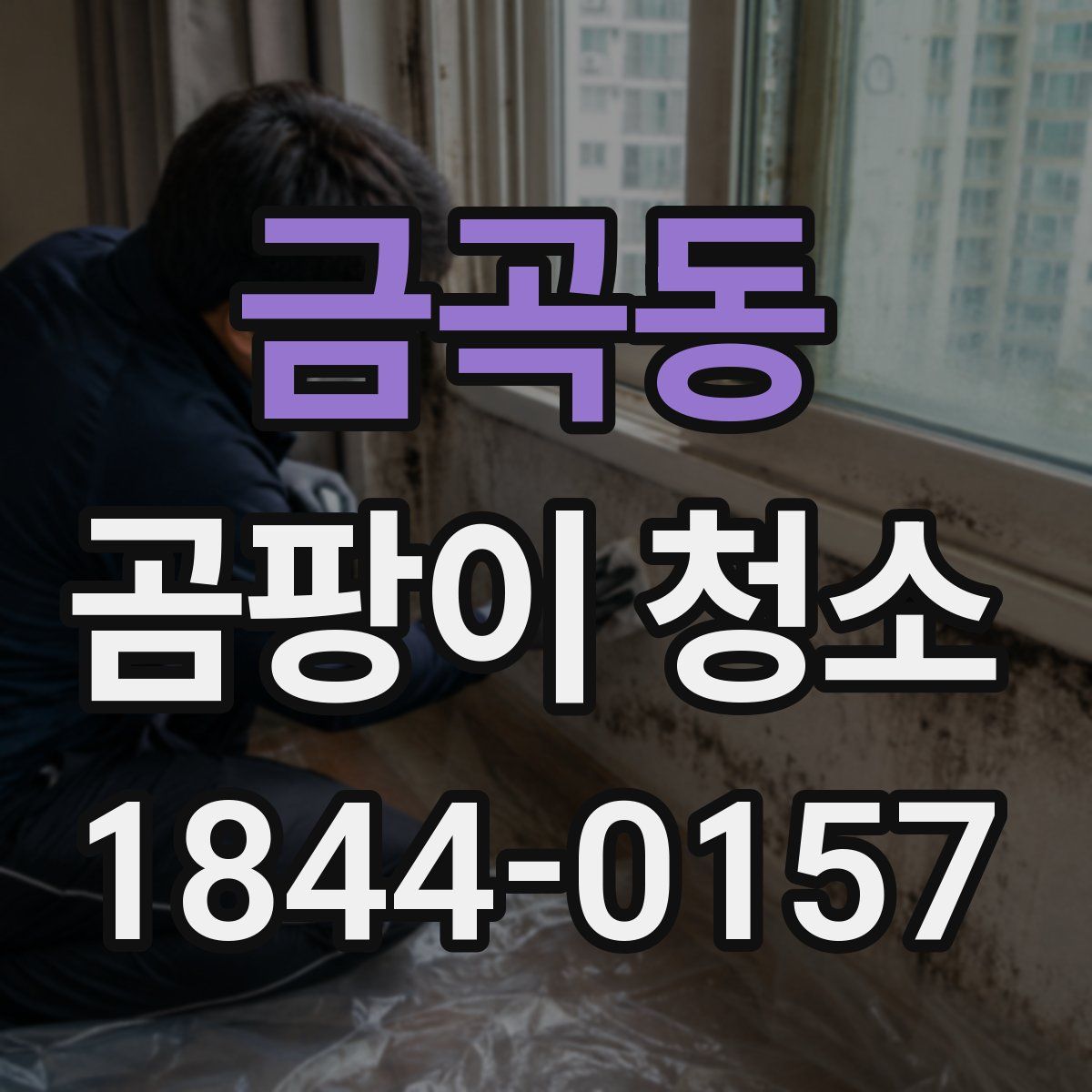 금곡동 곰팡이 청소