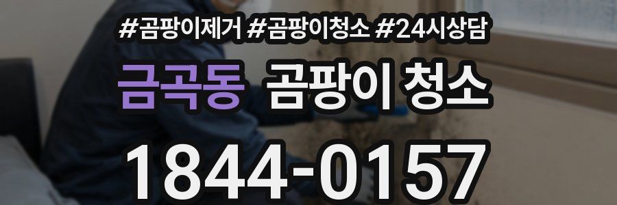 금곡동 곰팡이 청소