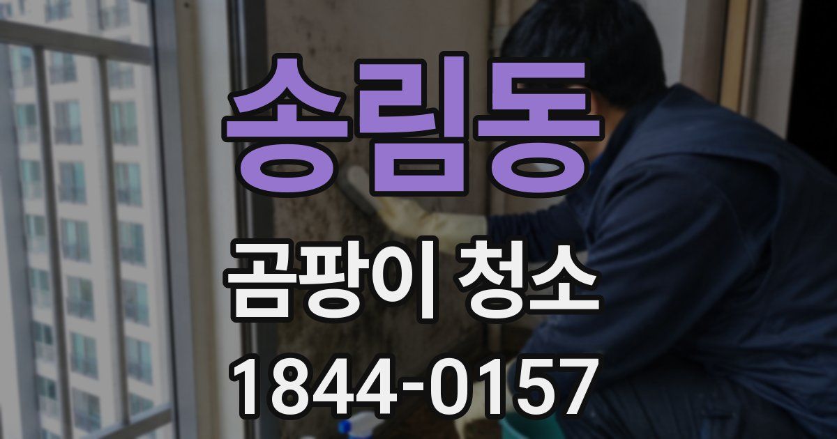 송림동 곰팡이 청소