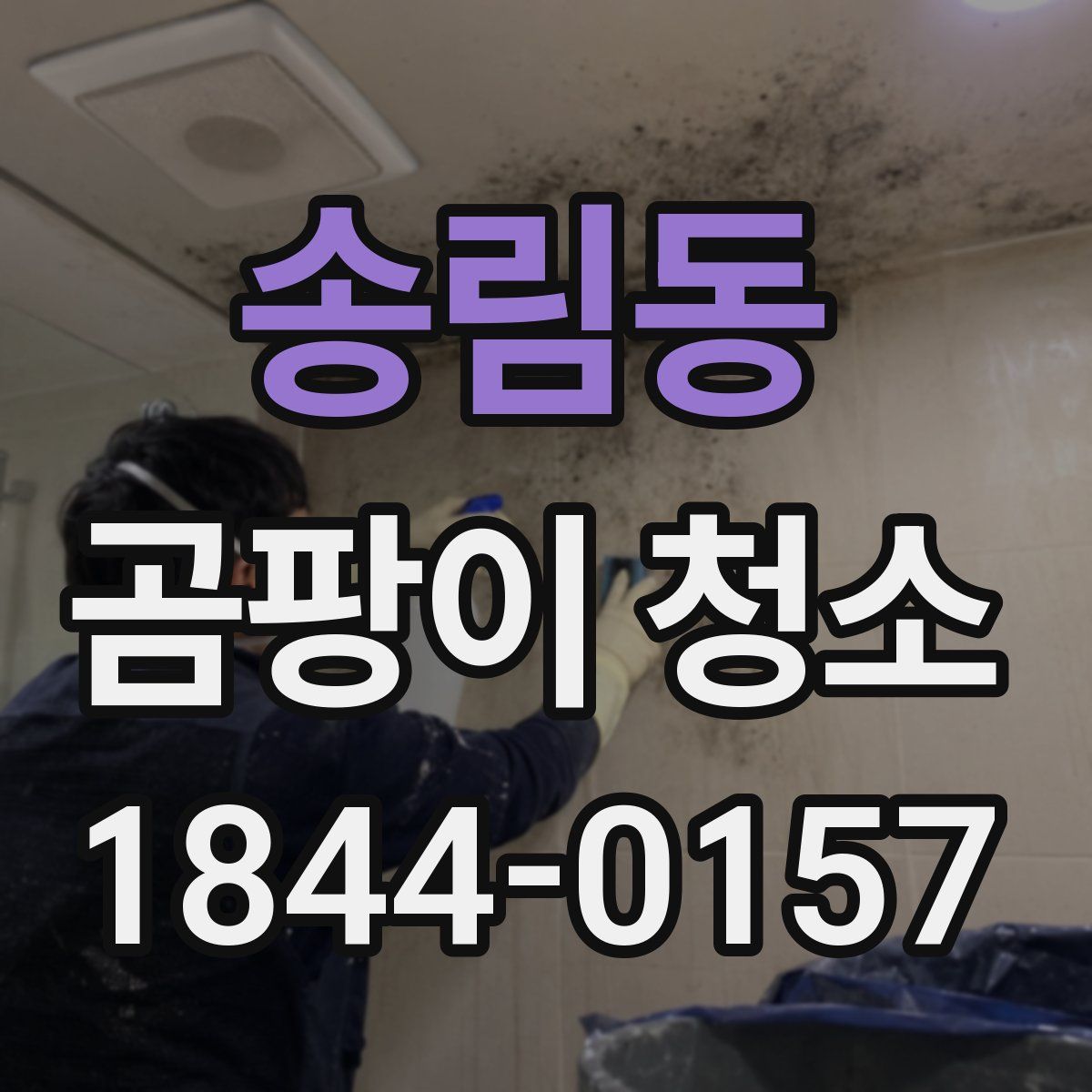송림동 곰팡이 청소