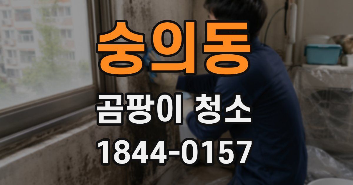 숭의동 곰팡이 청소