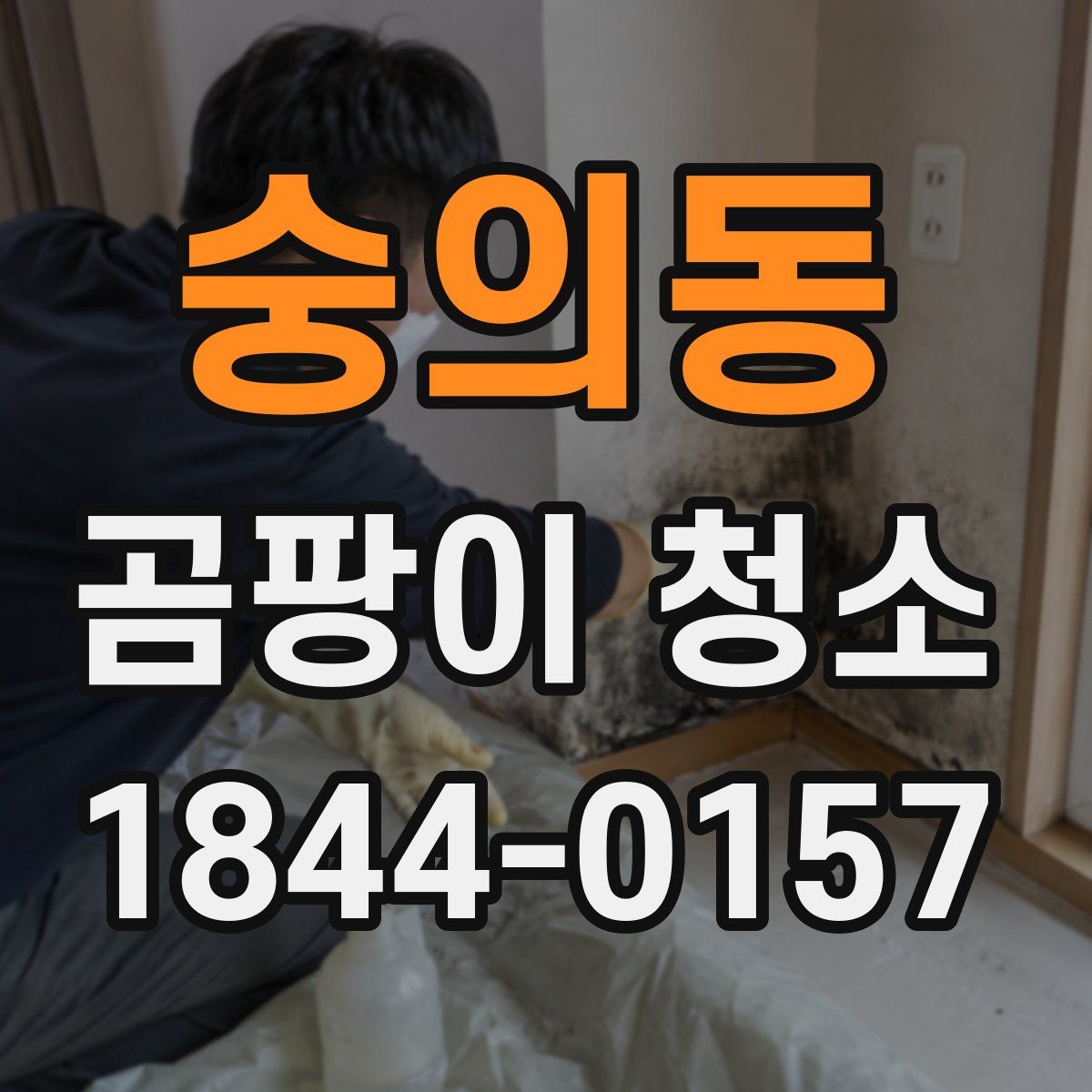 숭의동 곰팡이 청소