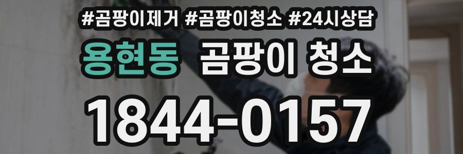 용현동 곰팡이 청소