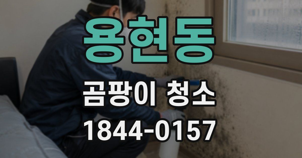 용현동 곰팡이 청소