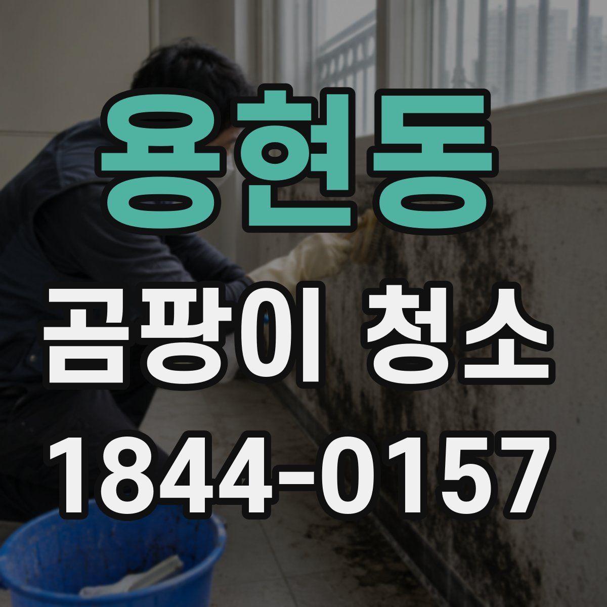 용현동 곰팡이 청소