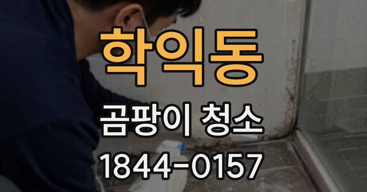 학익동 곰팡이 청소