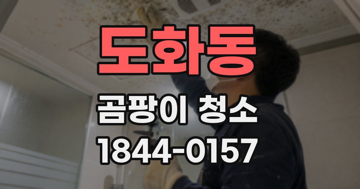도화동 곰팡이 청소