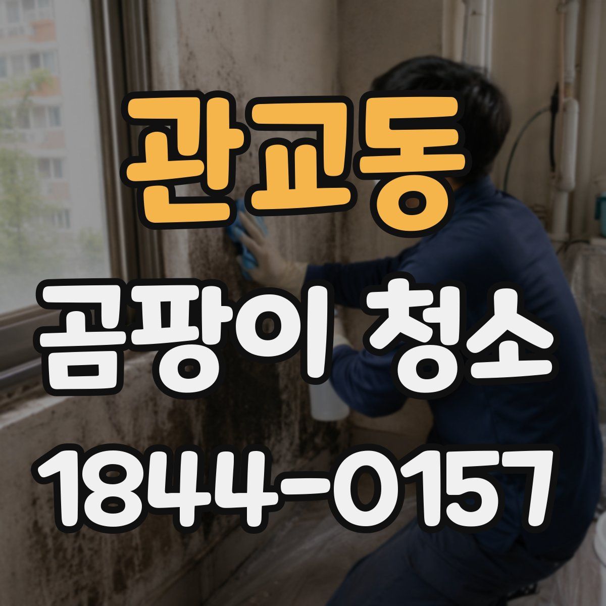 관교동 곰팡이 청소