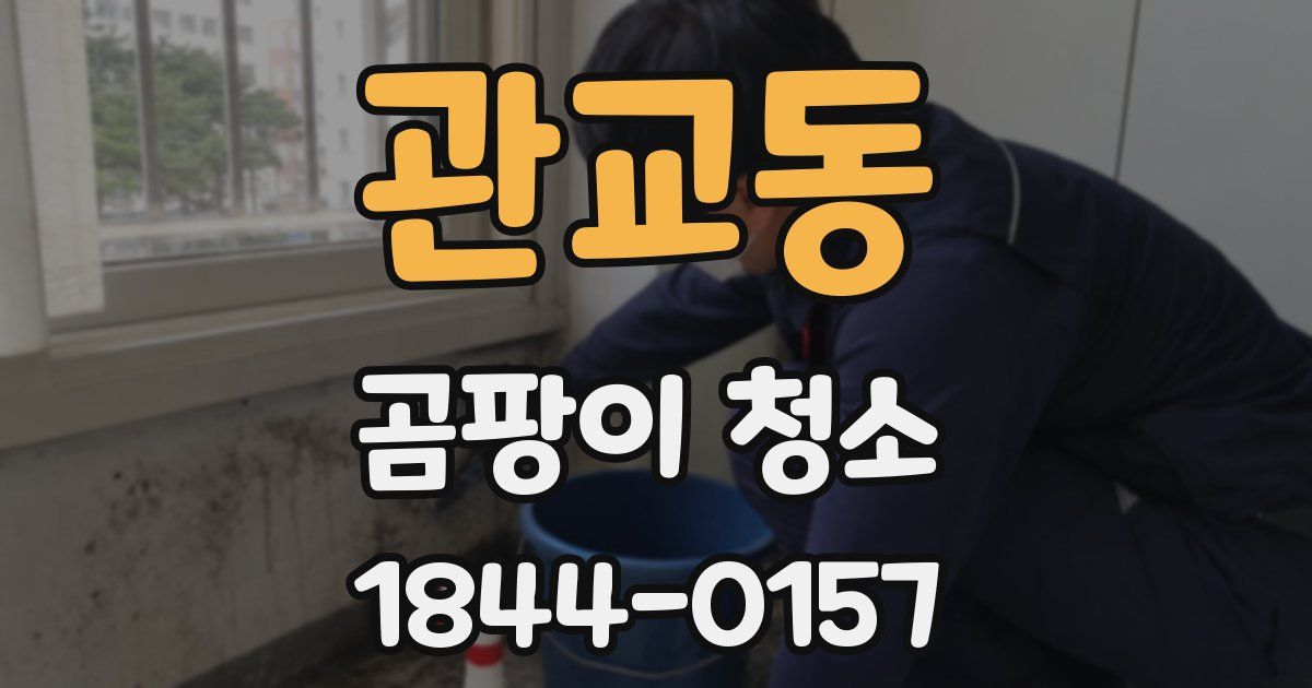 관교동 곰팡이 청소
