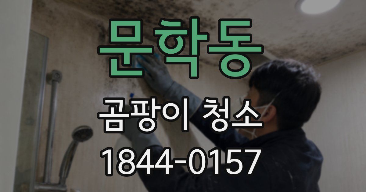 문학동 곰팡이 청소