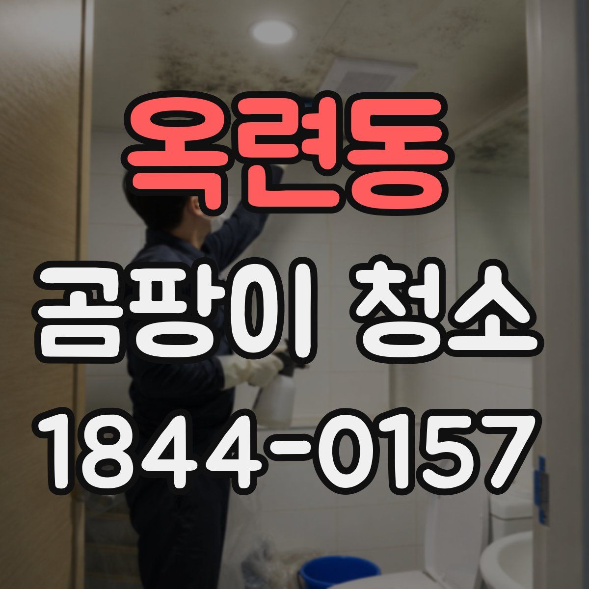 옥련동 곰팡이 청소