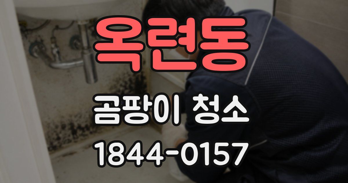 옥련동 곰팡이 청소