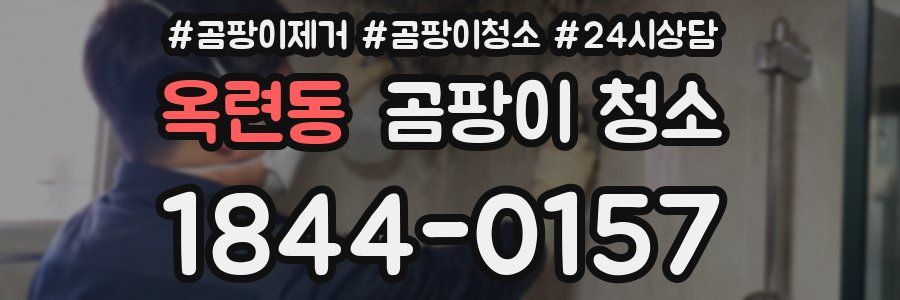 옥련동 곰팡이 청소