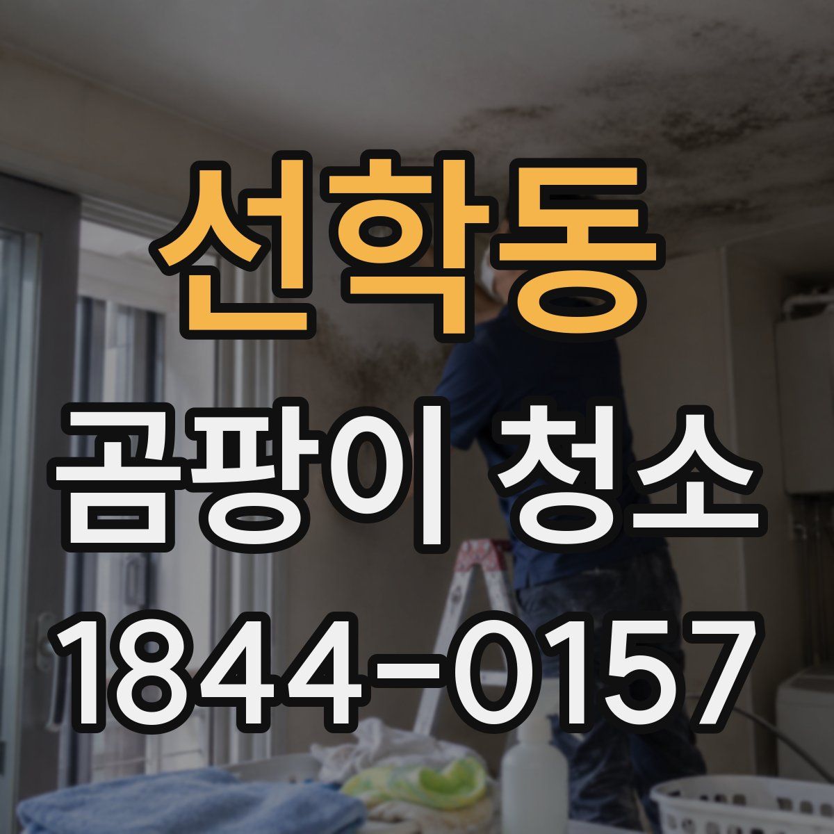 선학동 곰팡이 청소