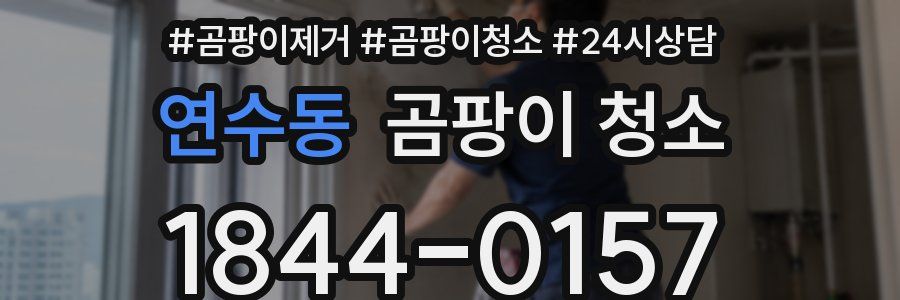 연수동 곰팡이 청소