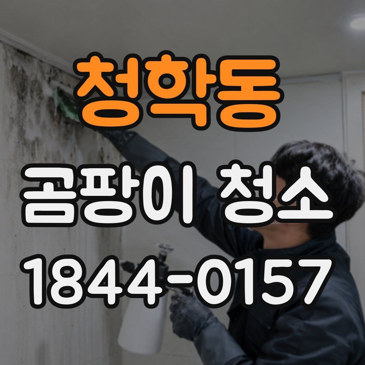 청학동 곰팡이 청소 후에도 흔적이 남는 곰팡이 자국의 원인