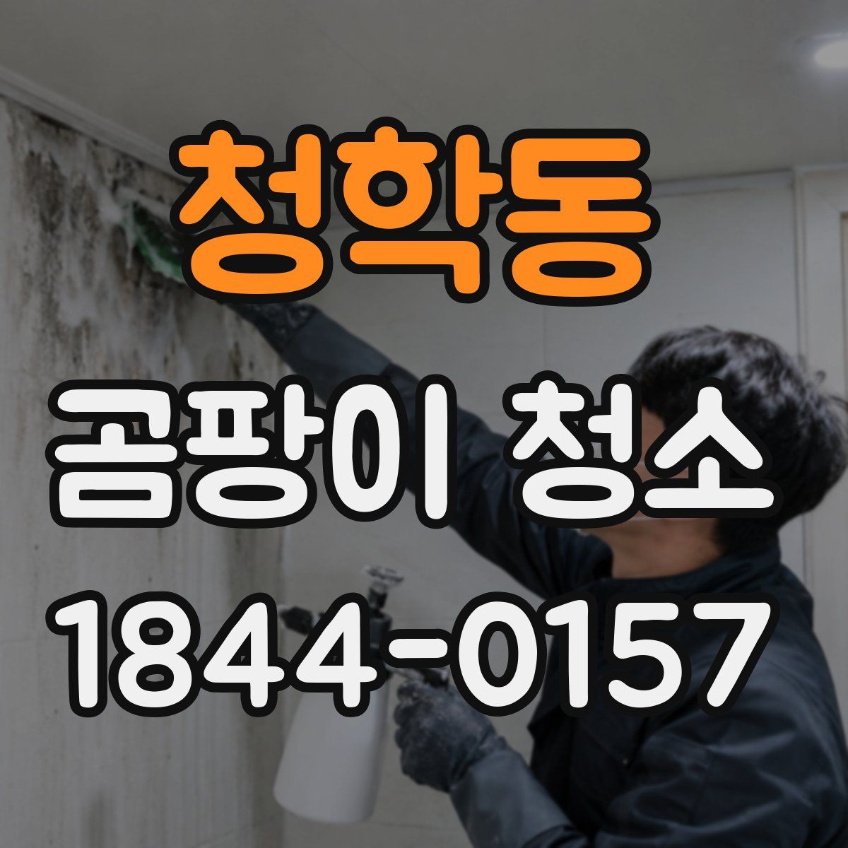 청학동 곰팡이 청소